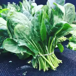Spinach Bagged